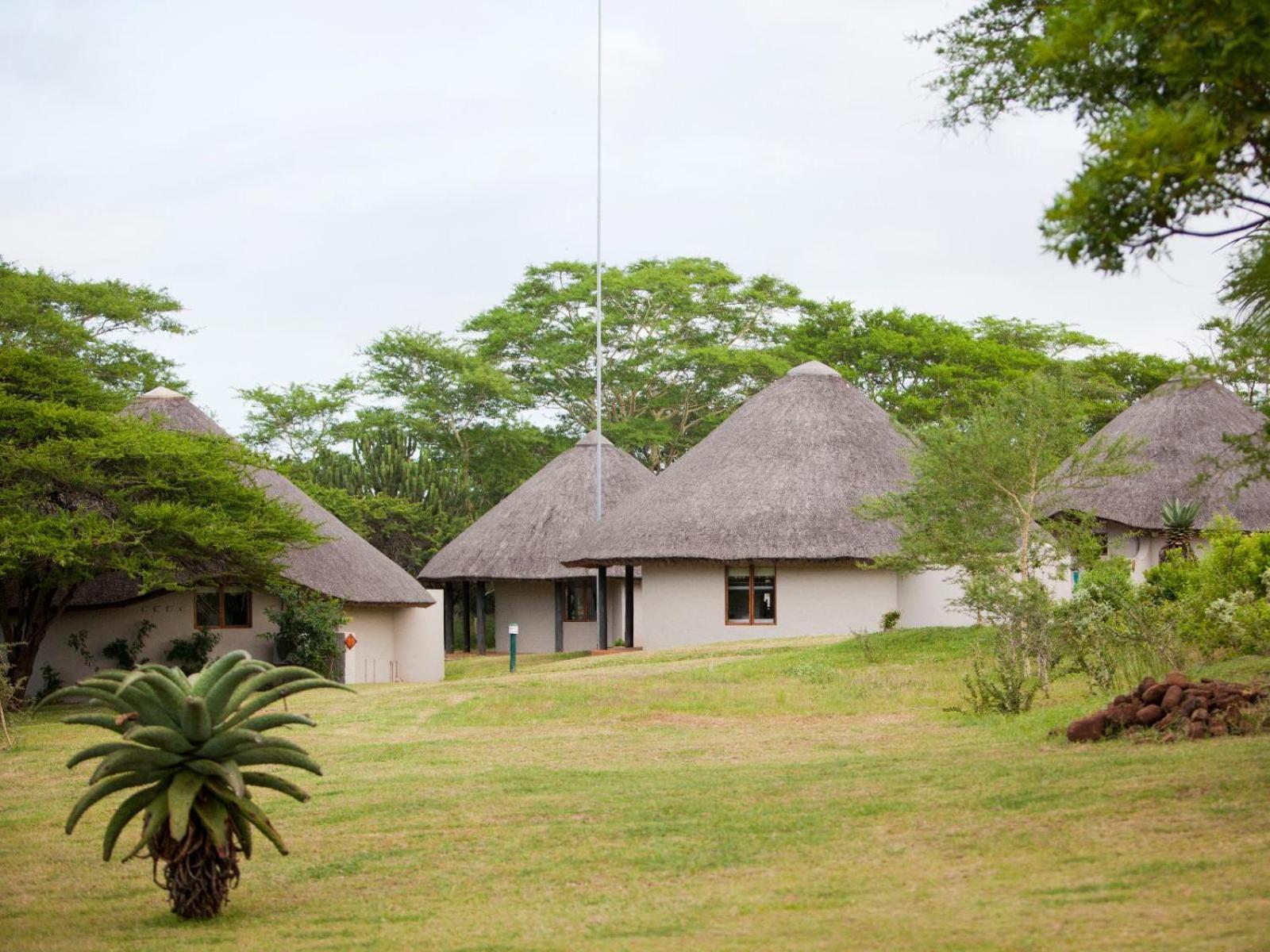 Lodge Ubizane Zululand Safari Hluhluwe