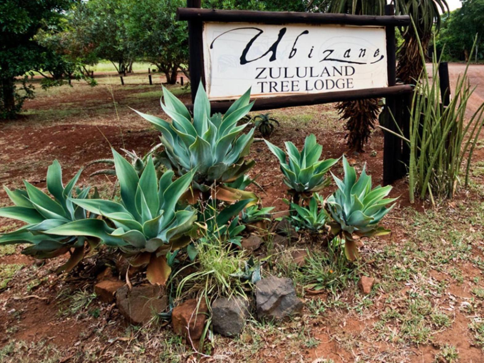Lodge Ubizane Zululand Safari *